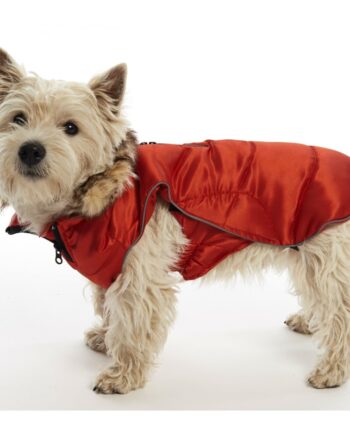 Buster Active Vinterjakke til Hunde - Rød Udsalg!